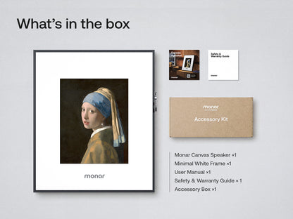 Monar Canvas Speaker: Looks like Music, Sounds like Art.