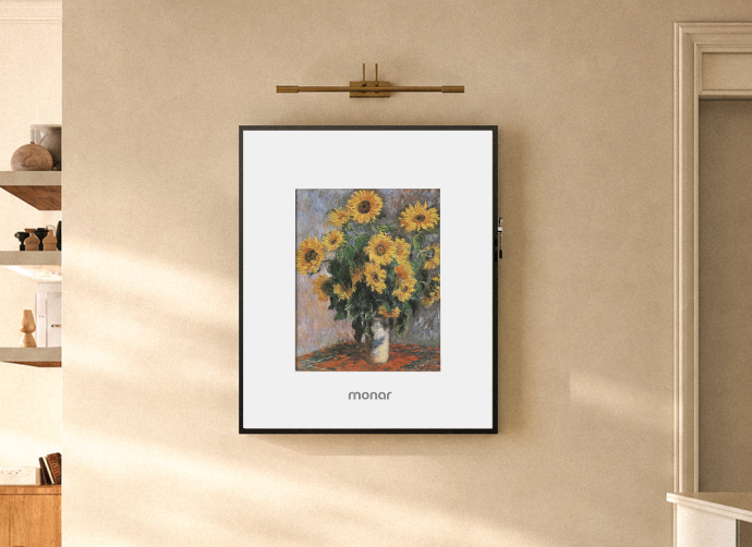 Interchangeable Frame I Monar Branded